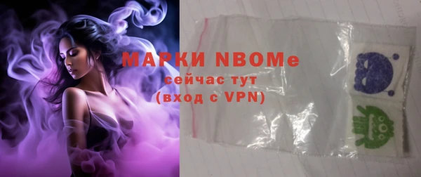 мет Алексин